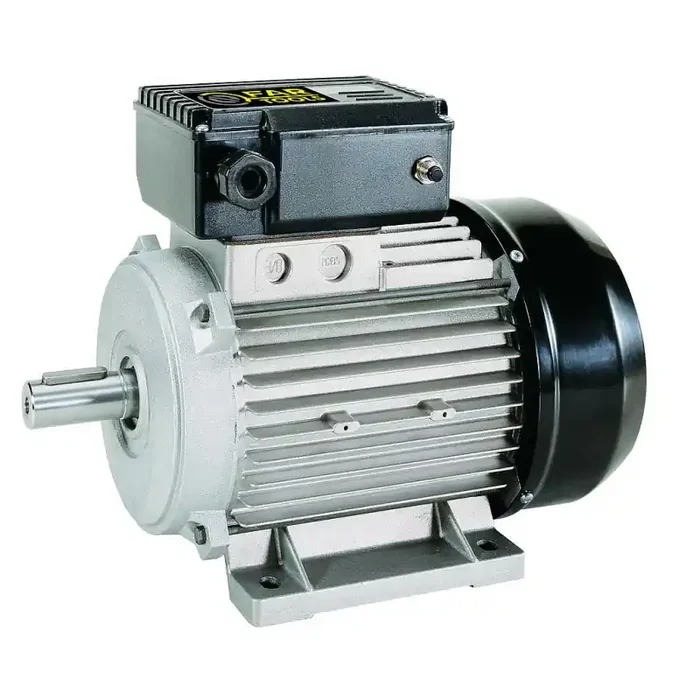 Moteur électrique 1 CV 736 W 230 V