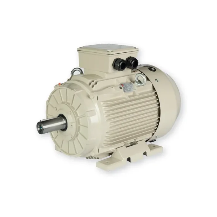 Moteur électrique triphasé 400/700V 30 kW 3000 tr/min – ST3200L24B35 Fonte Bride B35