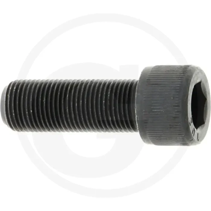 Rayco Bout (1 3/4″)