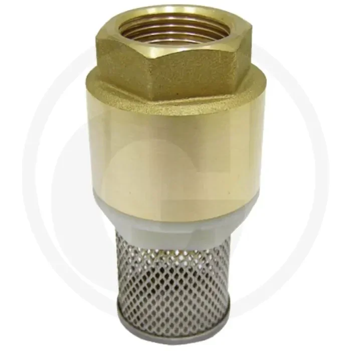 Zuigkorf + voetklep – aansluiting: 3/4&Prime; binnendraad